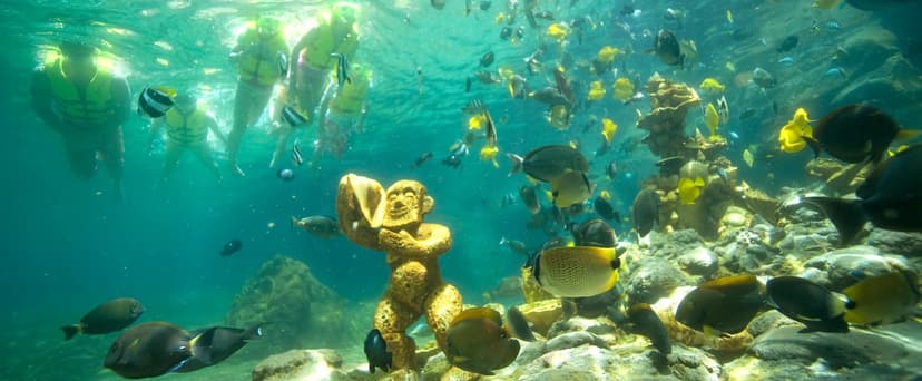 Rainbow Reef image 2